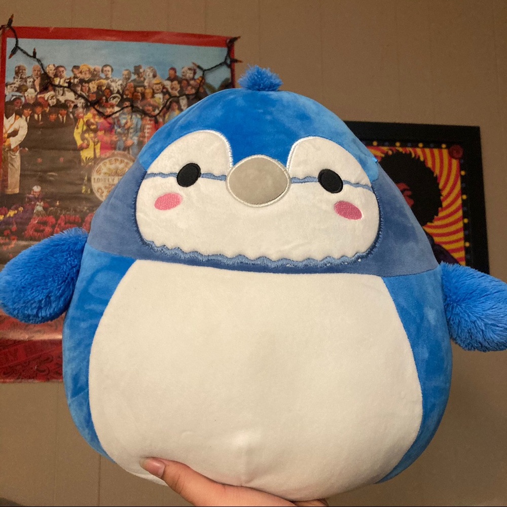 🚨SOLD🚨Babs the Bluejay Squishmallow 12”